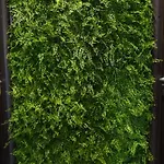 Quattro Canti 200 Mt- Appartamento Salvia