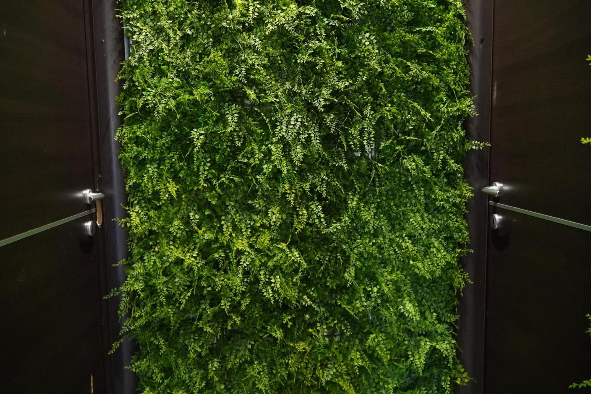 Quattro Canti 200 Mt- Salvia Palermo